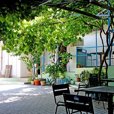 Eleni Hotel Gelendzhik Exterior photo